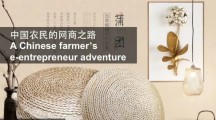 一位中国农民网商的联合国圆梦之旅